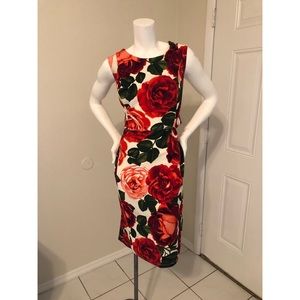 🌹Enfocus Studio Floral Dress🌹Tag Size 12
